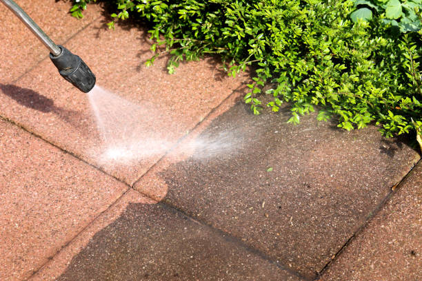 Best Pressure Washing Company Near Me  in Benton, KY